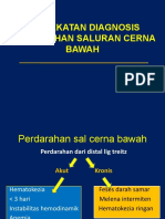 Pendekatan Diagnosis Perdarahan Saluran Cerna Bawah