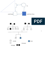 Genogram Hv Vina