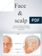 Face & Scalp Muscles and Blood Supply