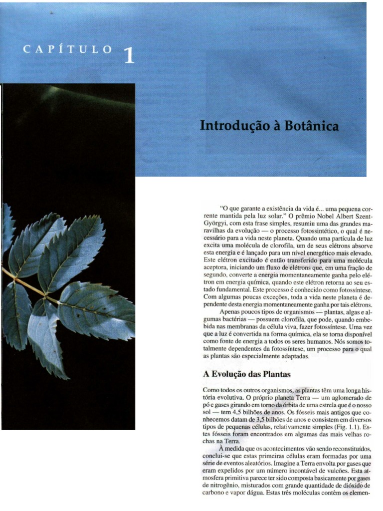 Biologia Vegetal Raven Capítulo 1 PDF