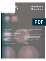 Biologia Celular e Molecular - Capítulo 5 - Membrana Plasmática