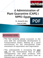 Dr. Ahmed El-Attar Head of CAPQ