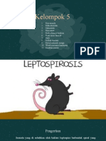 Kel 5 Leptospirosis