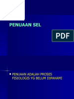 Penuaan Sel