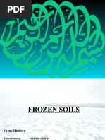 Frozen Soils