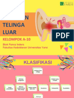 Kelainan Telinga Luar: Kelompok A-10