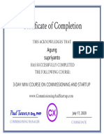 Mini Course Certificate