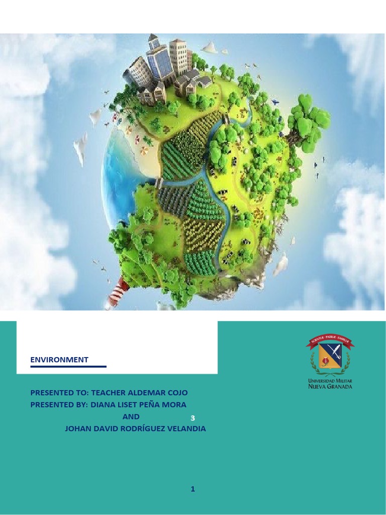 ENVIRONMENT | PDF | Natural Environment | Civil Engineering