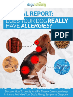 Does+Your+Dog+Really+Have+Allergies DNM1