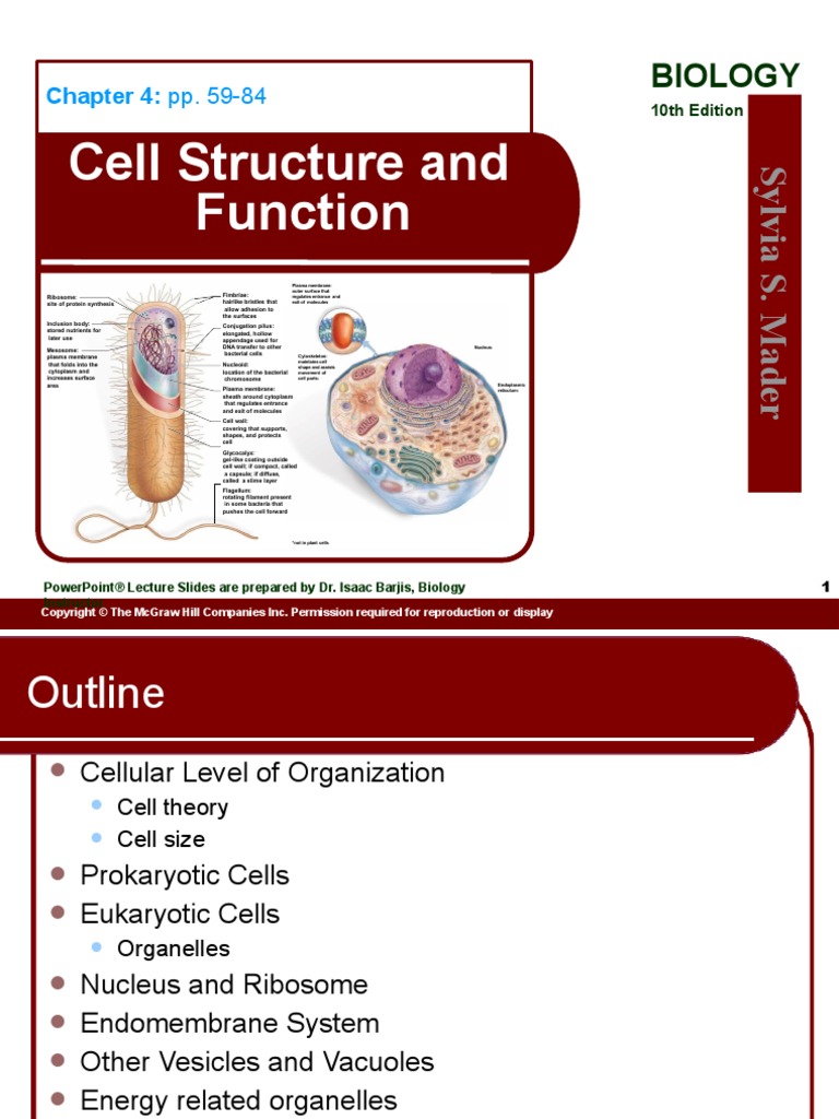 Cell Structure and Function: Biology | PDF | Endoplasmic Reticulum ...