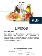 LIPIDOS