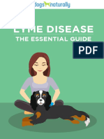 Lyme Disease: The Essential Guide