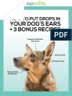 How To Put Drops In: Your Dog'S Ears