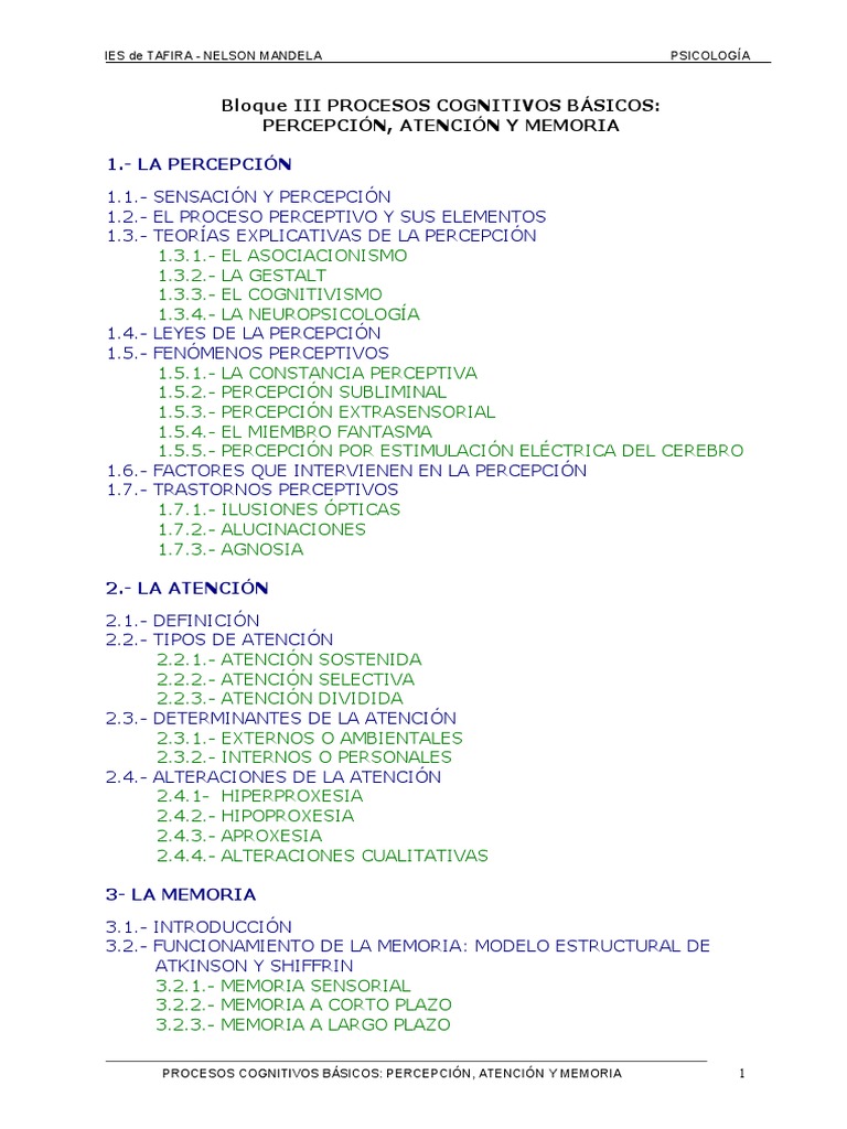 Bloque Iii Percepción Atención Y Memoria Pdf Percepción Sentidos