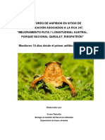 Informe Monitoreo Anfibios N°1 - PN Queulat - CVV