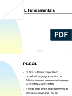 PL SQL Fundamentals - Opt