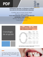 Mantenedores de Espacio: Corona y Banda Ansa | PDF | Odontología | Diente