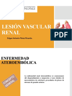 Lesión Vascular Renal