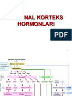 Adrenal Korteks Hormonları.