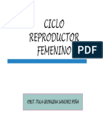 Ciclo Productor Femenino