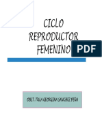 ciclo productor femenino