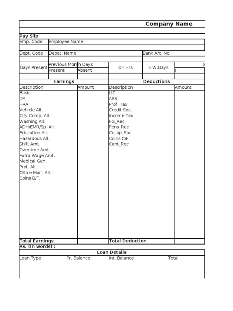 Company Name Pay Slip PDF