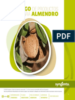 Folleto Almendro