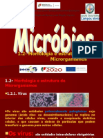 Morfologia e estrutura de microrganismos: vírus, bactérias, fungos e protozoários
