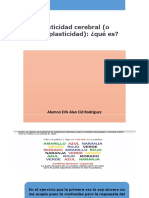 Plasticidad Neuronal