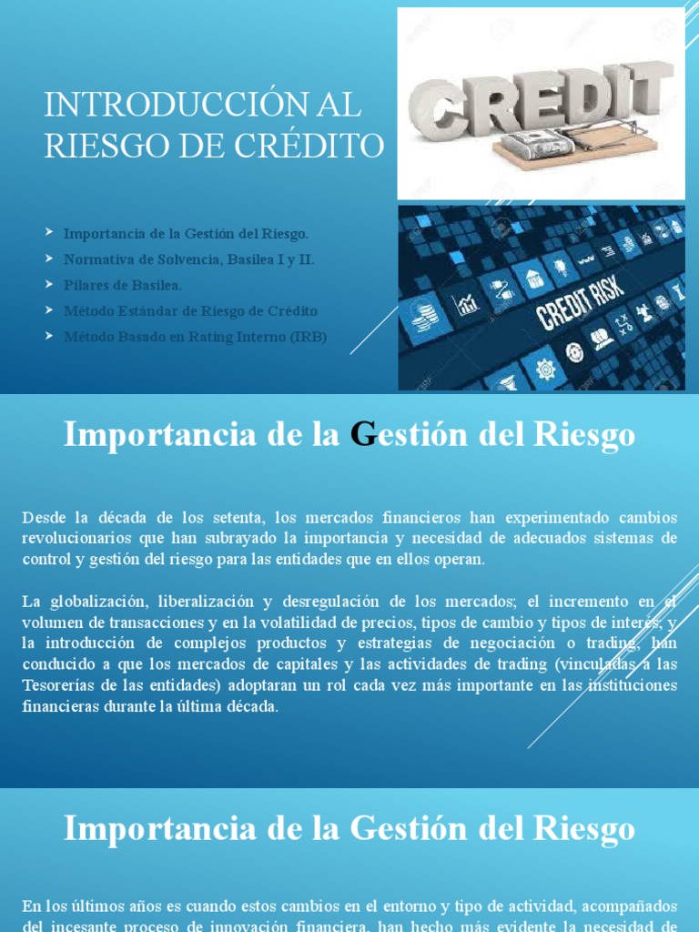 Introducción Al Riesgo De Crédito Pdf Riesgo Crediticio Basilea Ii