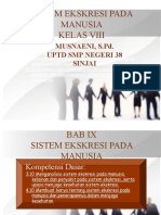 SISTEM EKSKRESI MANUSIA