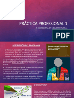 Práctica Profesional 1