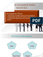 Sistem Ekskresi Pada Manusia