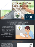 Diferencias entre el ensayo expositivo y el ensayo literario