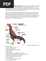 Download ayam by wimpibayu SN49385315 doc pdf