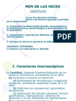 21 - Coproparasitario