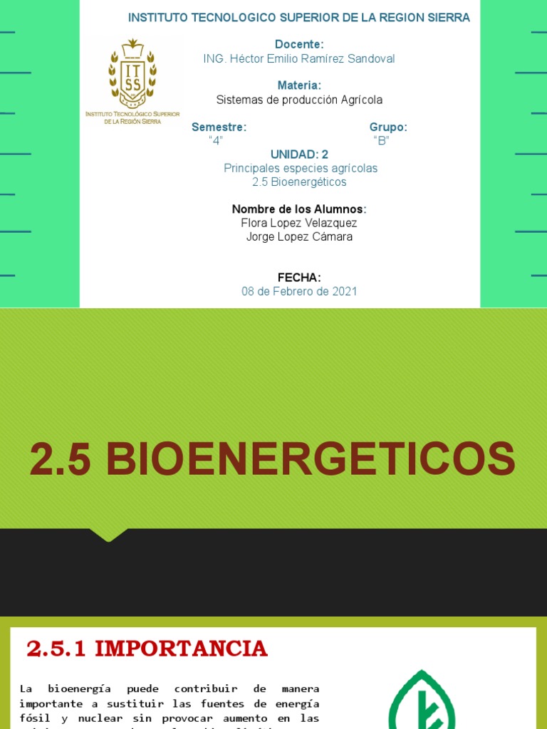 Ciclos Bioenergéticos en Agricultura | PDF | Siembra | Plantas