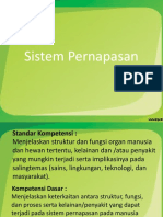 21287_Sistem Pernapasan (4)