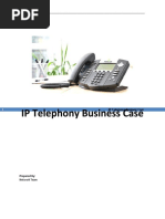 IP Telephony Business Case