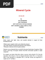 Mineral cycle