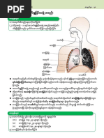 Myanmar New Curriculum Maths Student's Book G8 | PDF