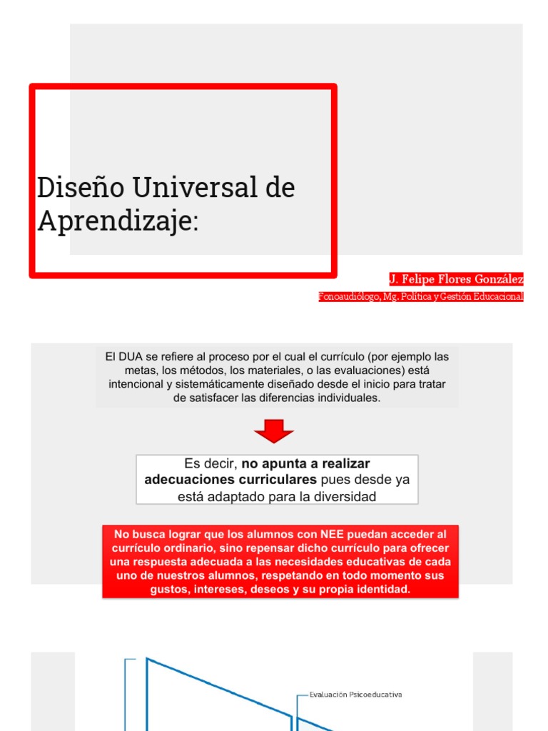 Principios del Diseño Universal de Aprendizaje | PDF | Plan de estudios ...