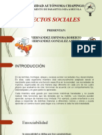 Insectos Sociales