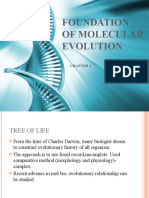 Foundation of Molecular Evolution