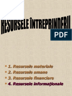 Resursele Întreprinderii