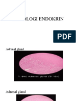 Histology of Endocrine Glands - Adrenal, Thyroid, Parathyroid & Pancreas
