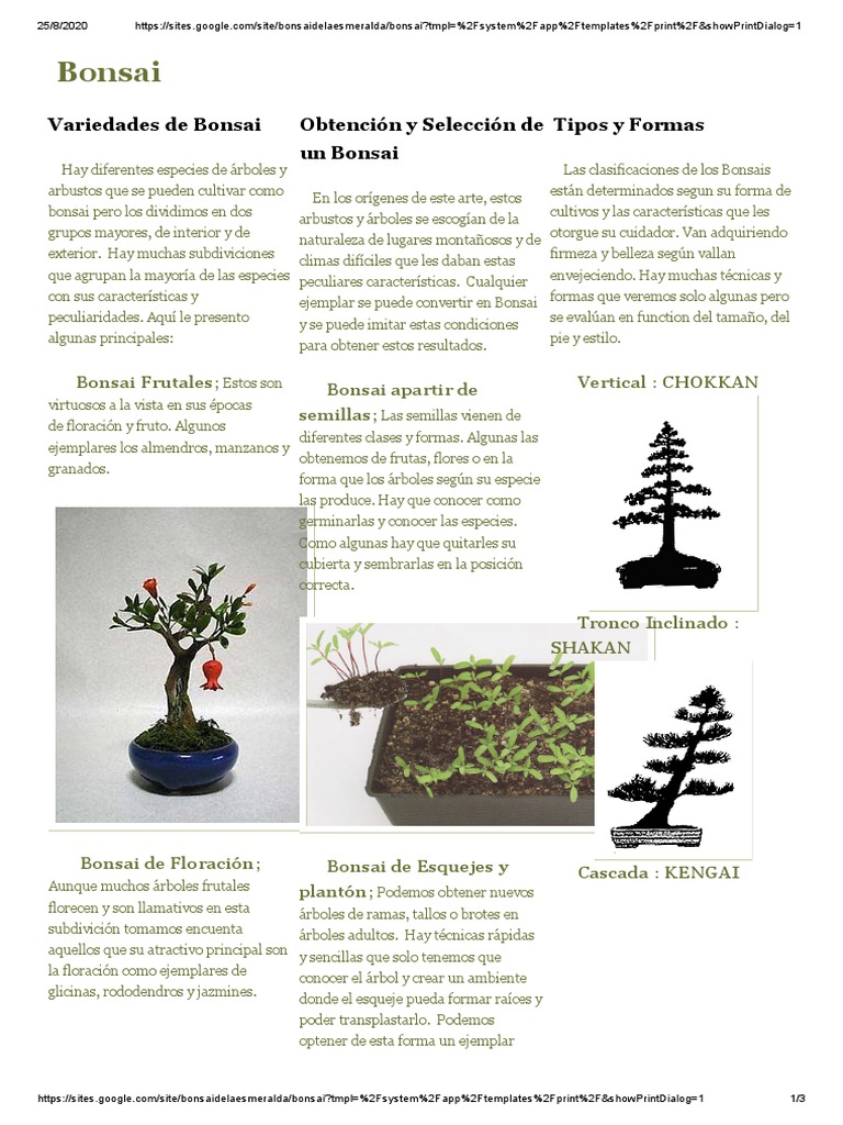 Variedades y Estilos de Bonsi | PDF | Bonsai | Arboles
