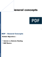 BGP Theoretical Approach
