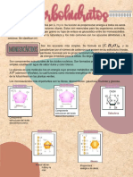 Carbohidratos Biomolecula 1 Downloable