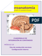 Cuadernillo 10 - SNA - Vías de Conducción y Configuración Interna Coscarelli